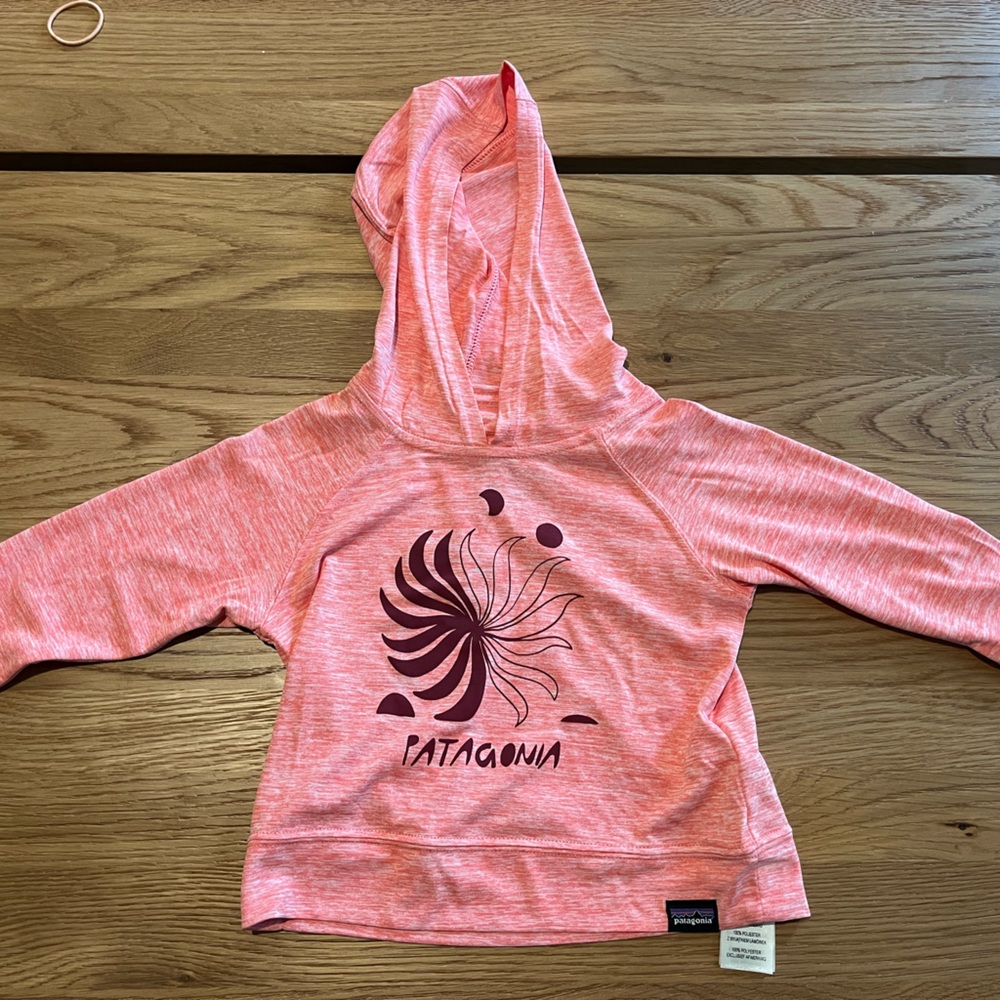 Patagonia Capilene Hoodie.